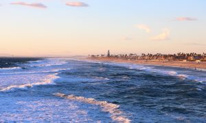 anaheim-5003657_1920