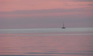 rochester-17449_1920