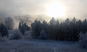 spokane-river-1912208_1920