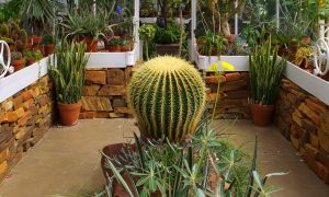 tulsa-victorian-conservatory-3658377_1920